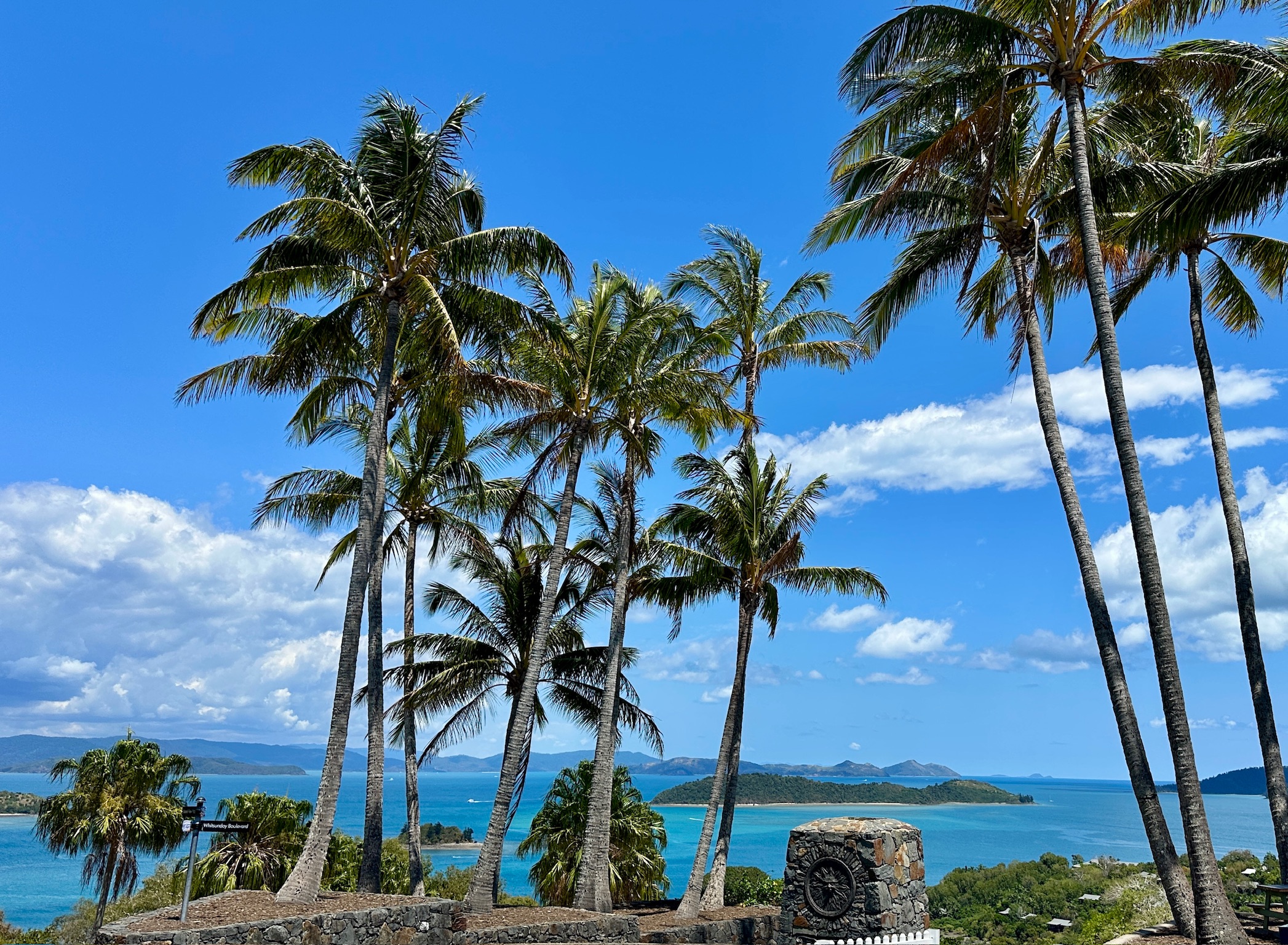 Palms over the water, Whitsunday Islands, Queensland