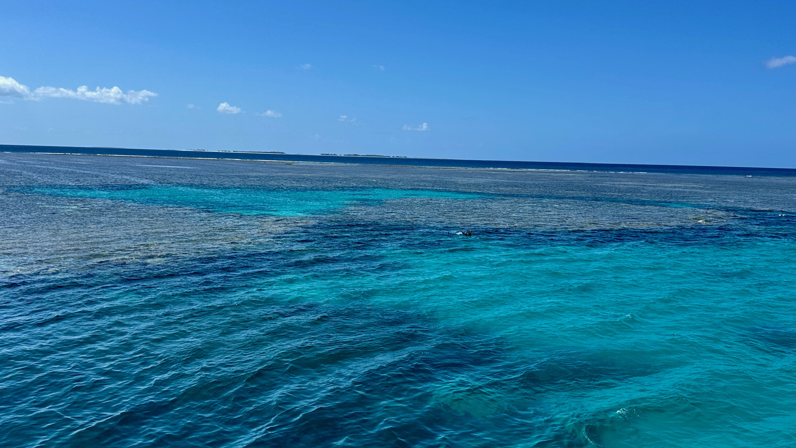 Reef colours through clear water, Great Barrier Reef, Queensland